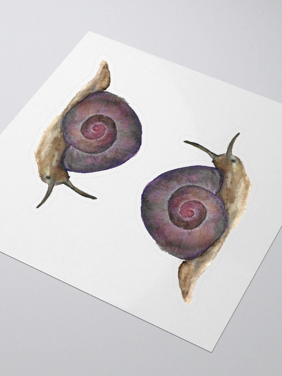 Snail (Helicina wettsteini) sticker product image (3)