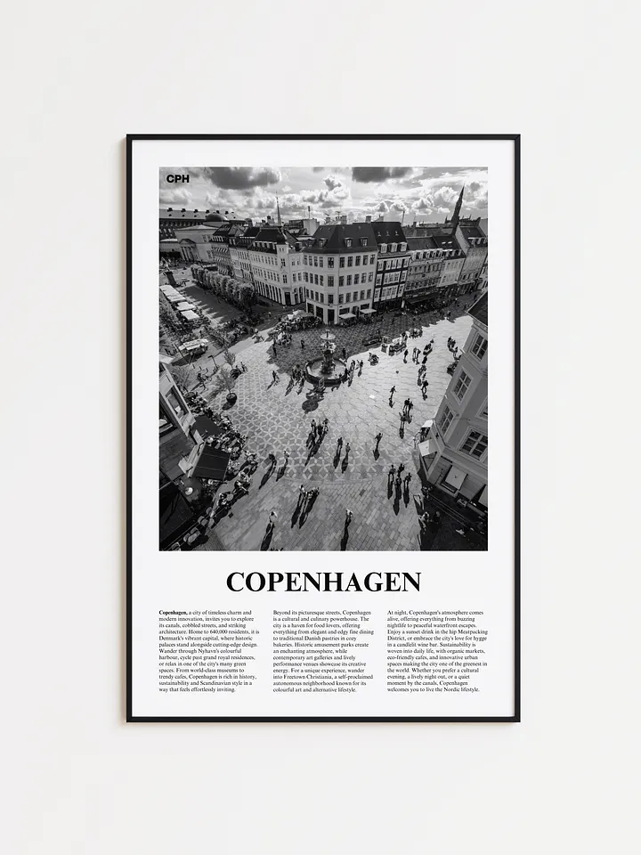 Copenhagen 02 Newspaper Poster product image (1)