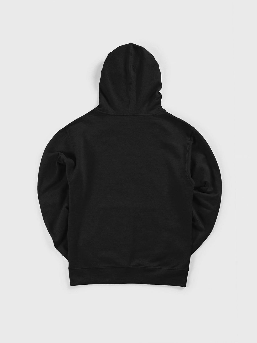 EMBROIDERED LOGO HOODIE product image (2)