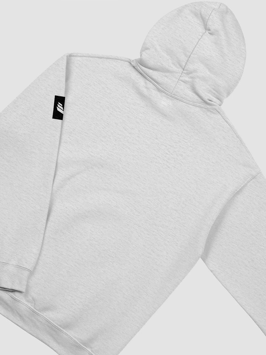 International Movement Hoodie - Light Gray product image (4)