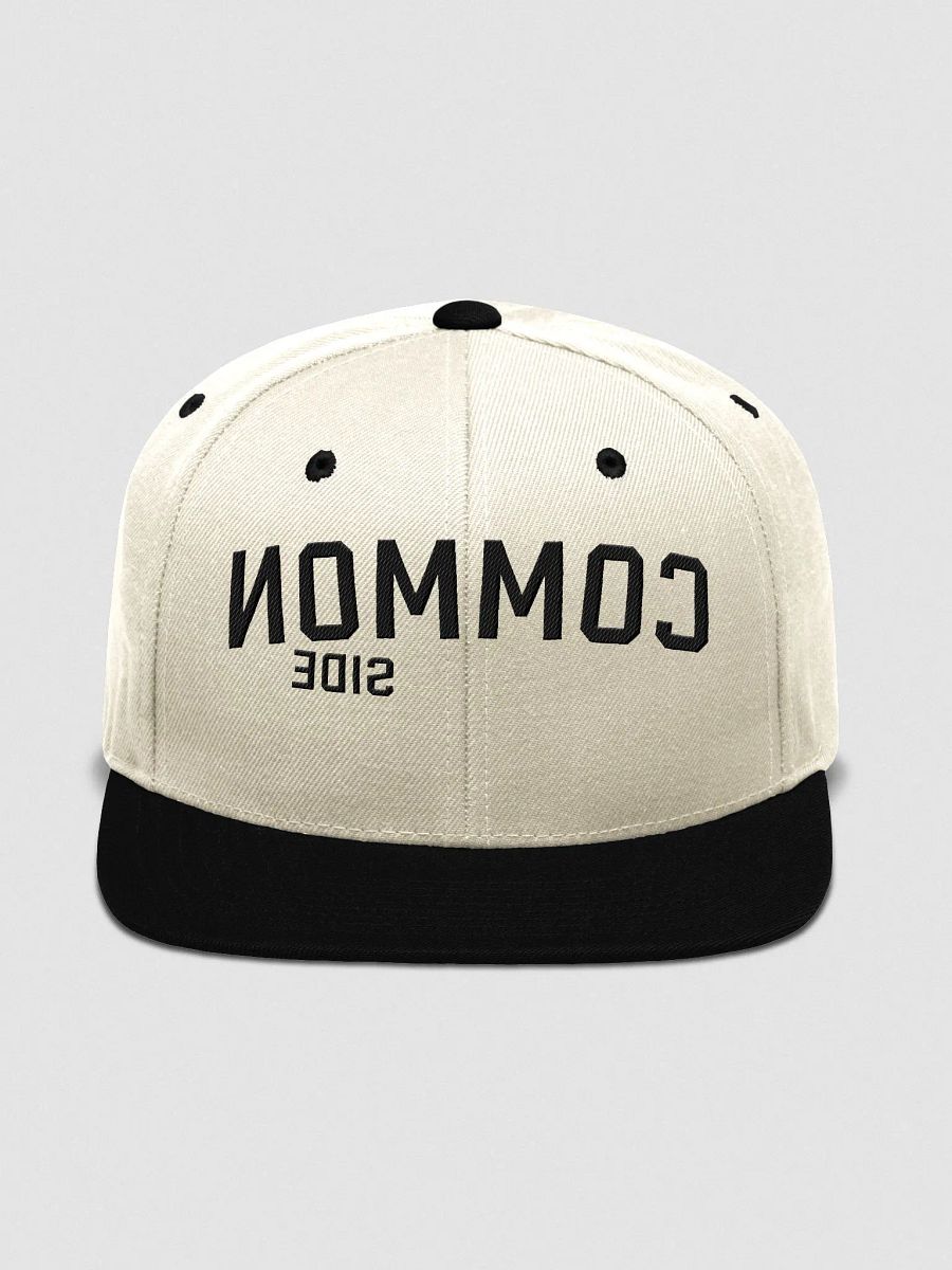 Pregame Snapback product image (1)