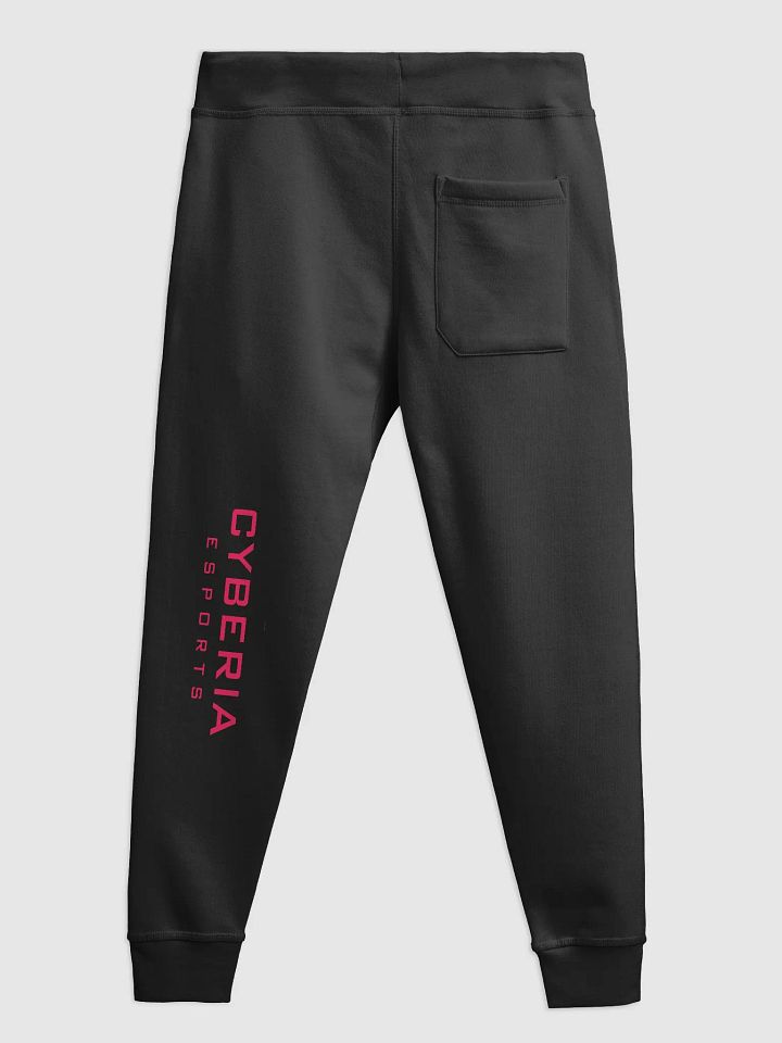 Fleece Joggers v2 product image (5)