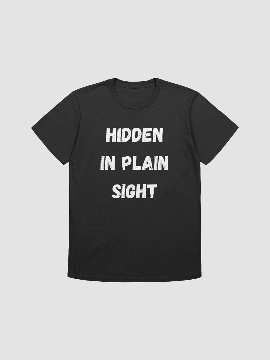 Hidden in Plain Sight product image (1)