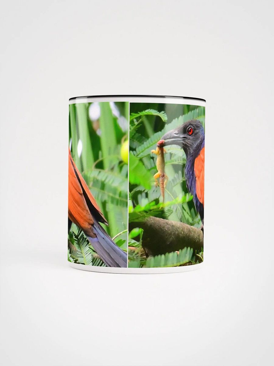 IUCAA Birds MUG product image (50)