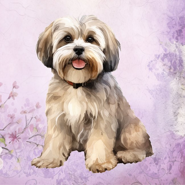 Lhasa Aspo