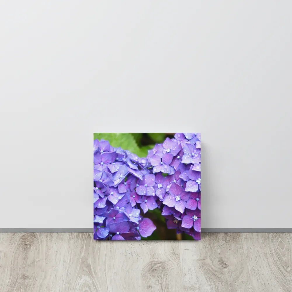 Hydrangeas product image (12)