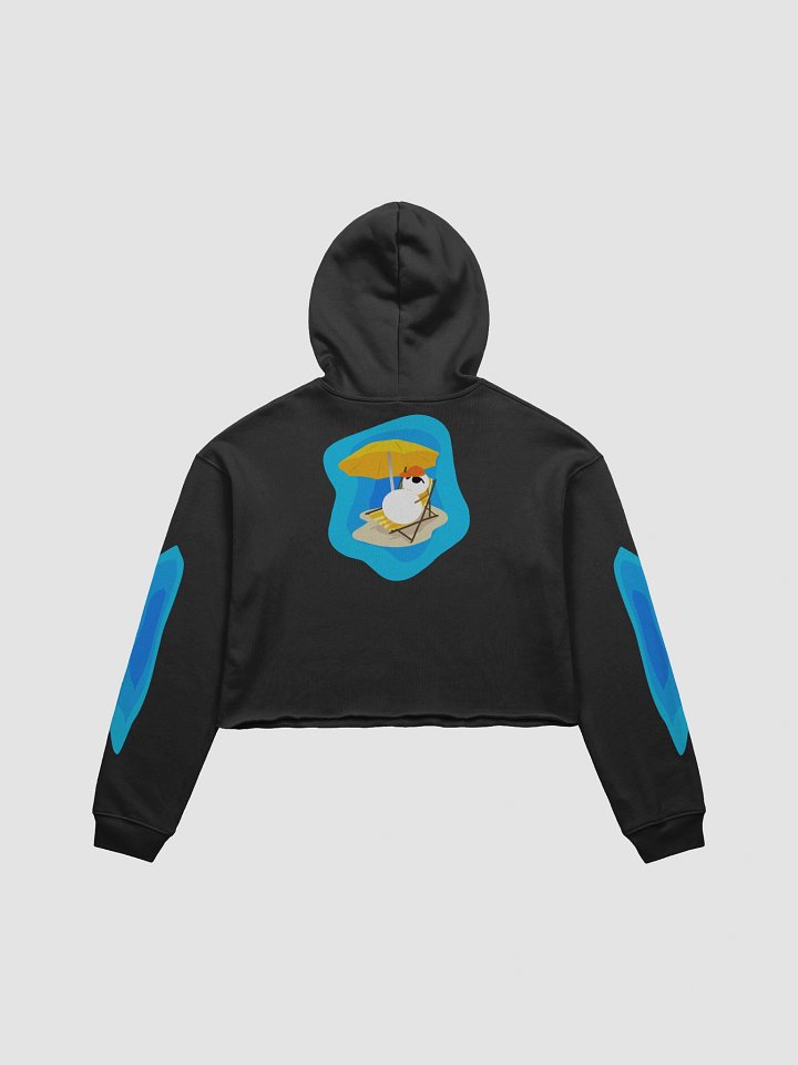 Frosty Relax Cropped Hoodie product image (2)