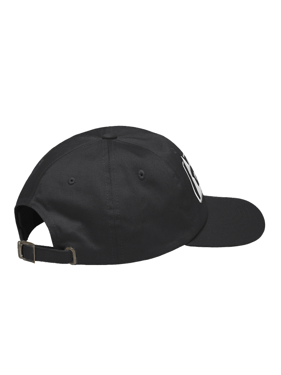 Bad Dog Nation - Embroidered Classic Dad Hat product image (4)