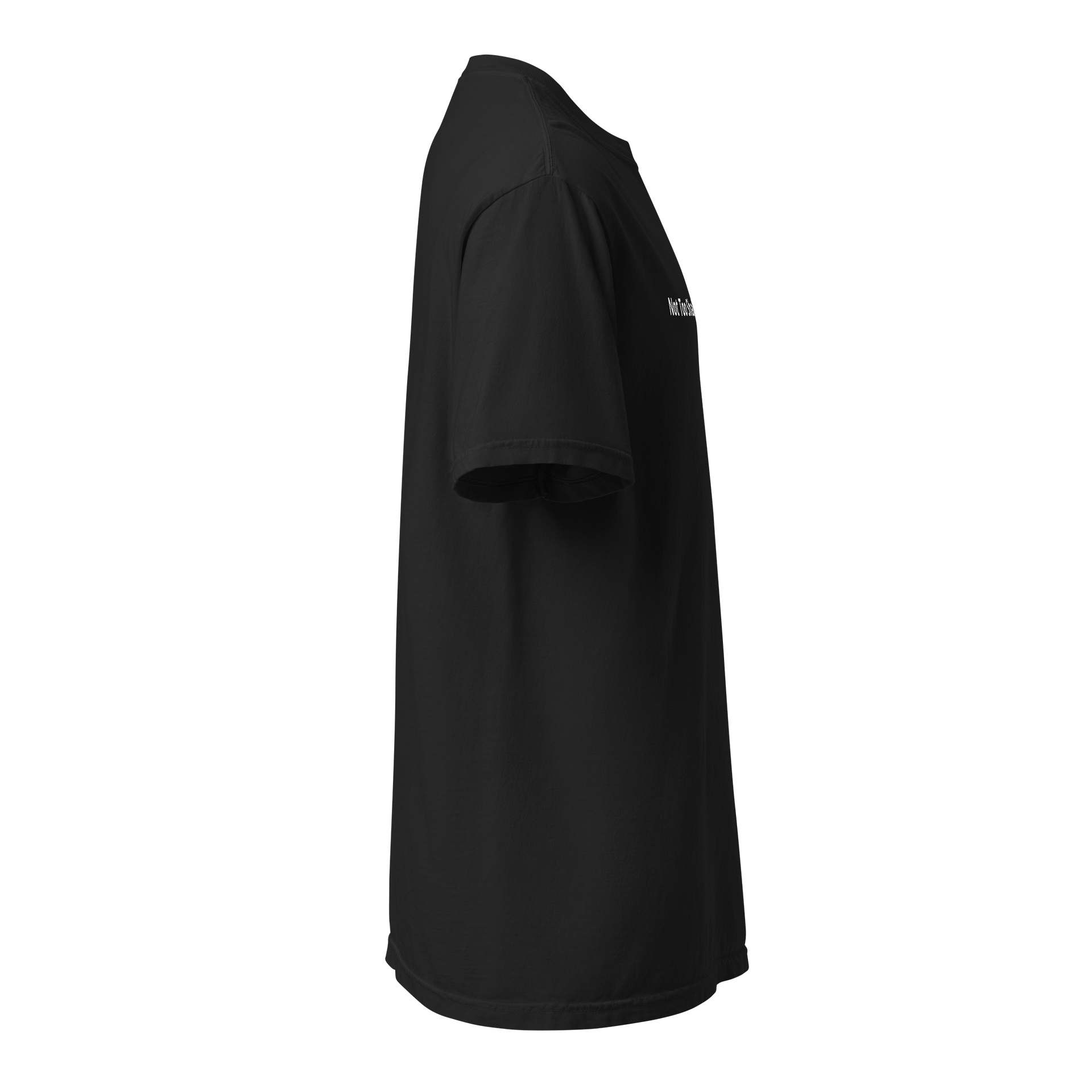 Not Too Shabby Alonso Tee product image (3)