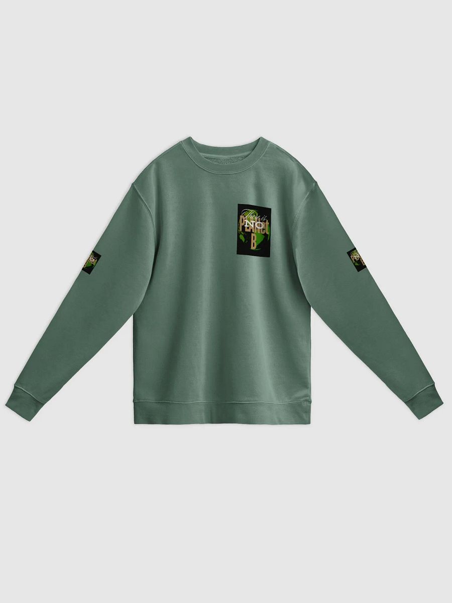 There is No PLANet B Unisex Pigment Dyed Sweatshirt – Wear the Change product image (3)