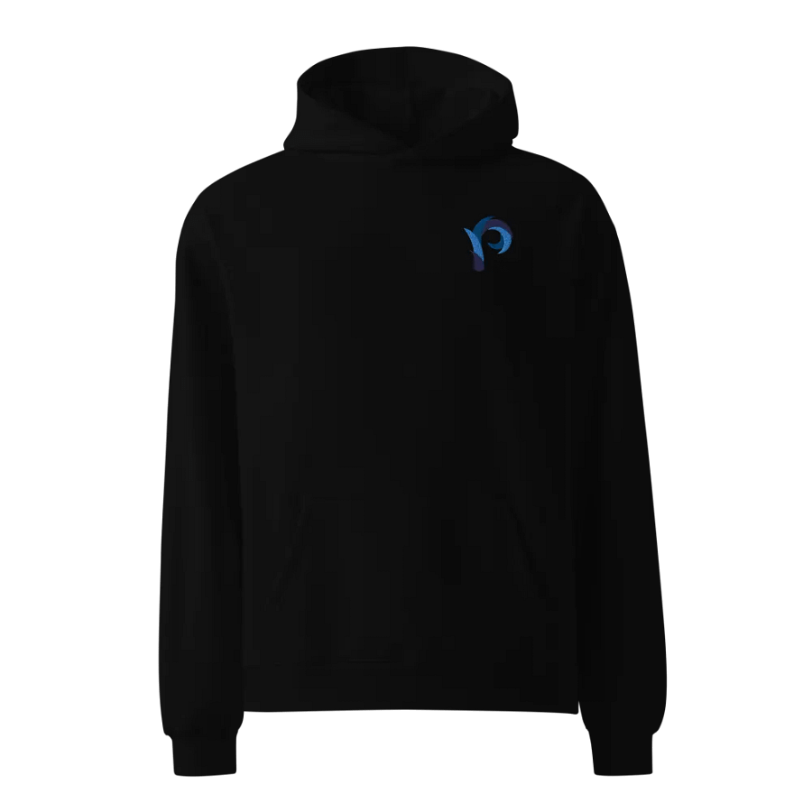 PP Hoodie - Regular Fit // Embroidered product image (11)