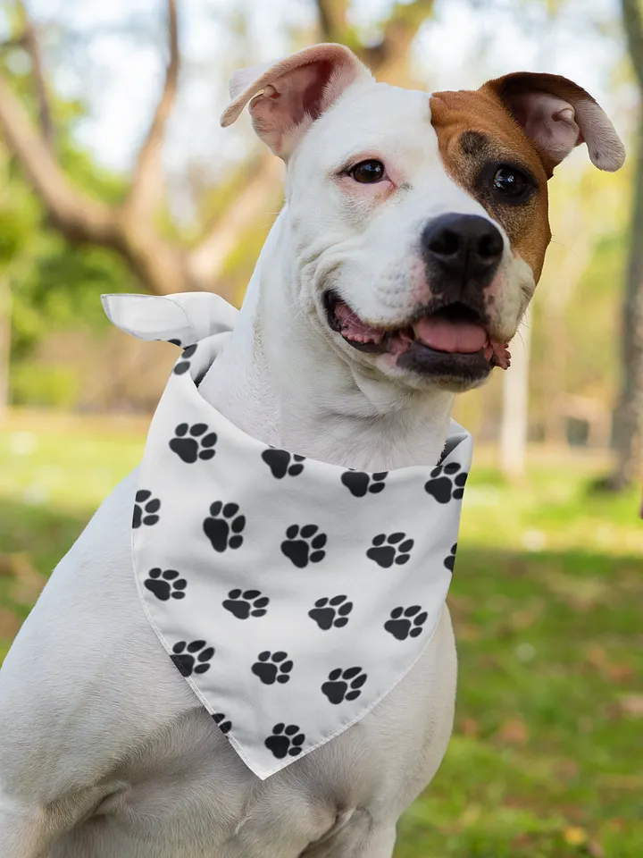 Jack's Paw Approved Bandana product image (2)