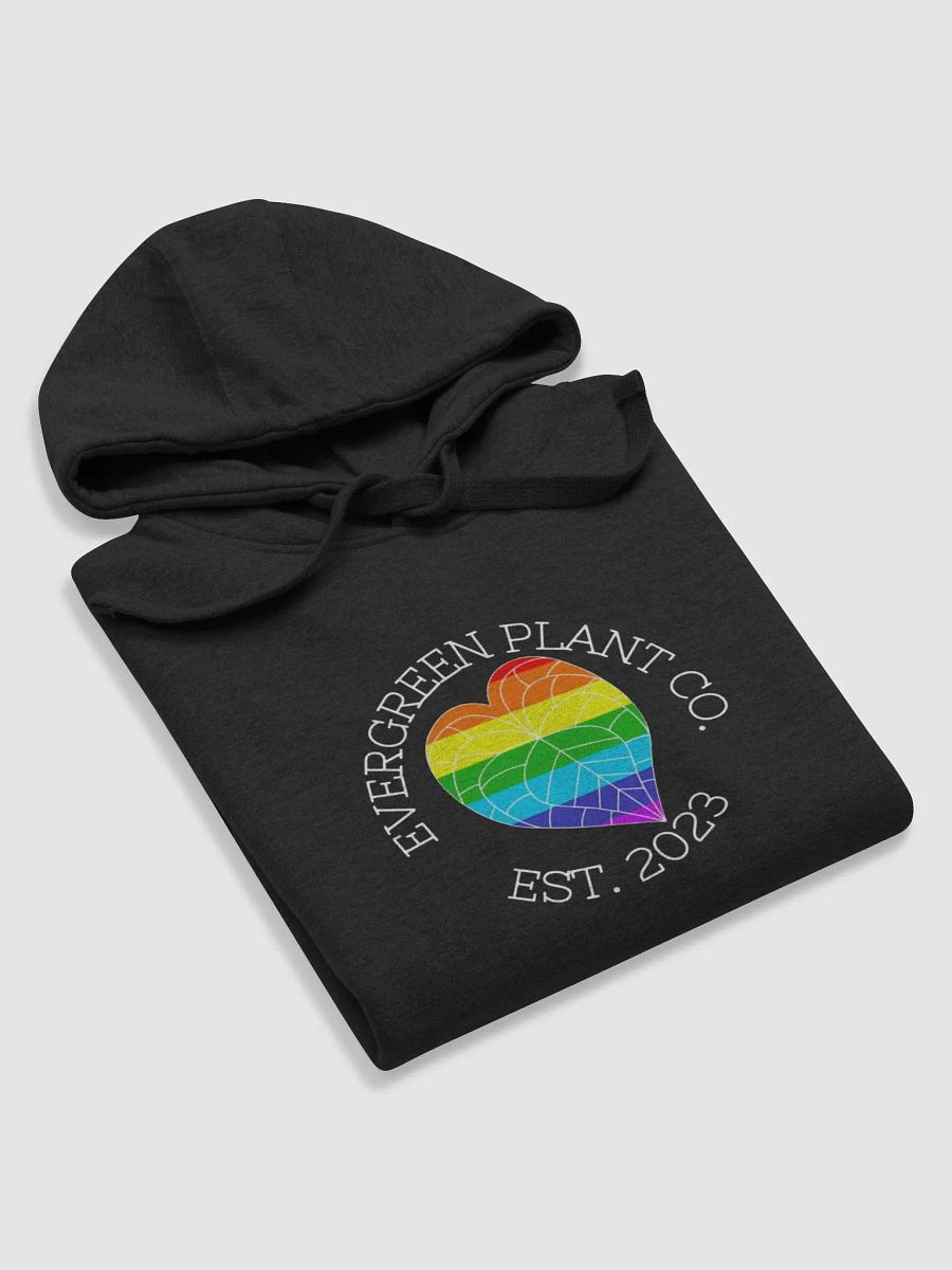 EPC Pride Hoodie II product image (5)