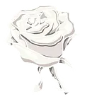 triviarose