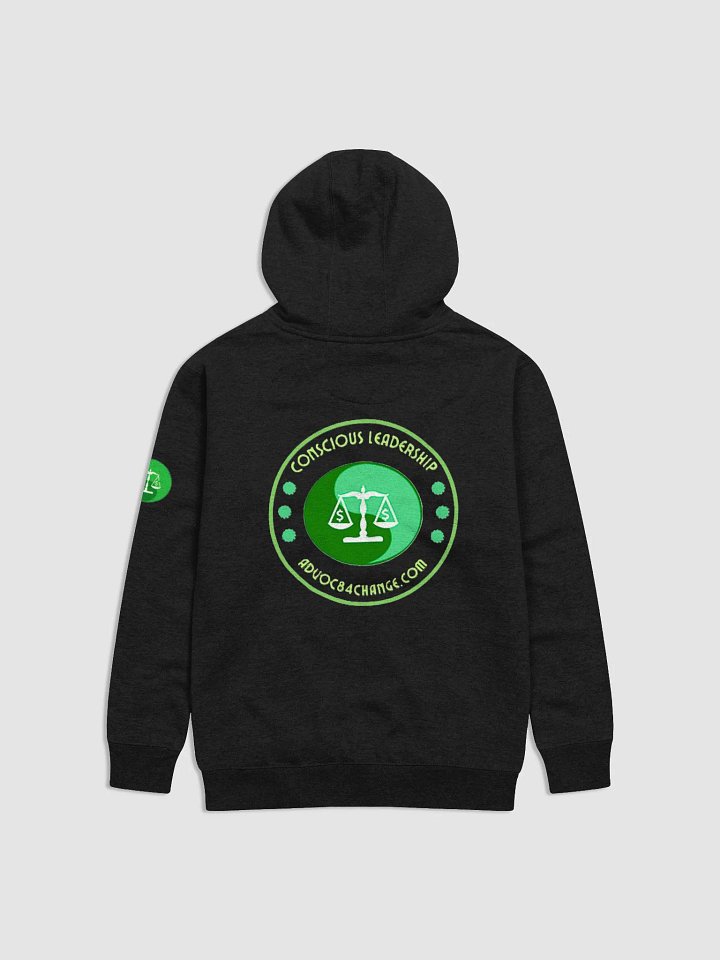 Unity in Diversity Balance Hoodie product image (4)