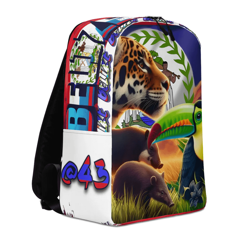 Beauty of Belize Backpack product image (10)