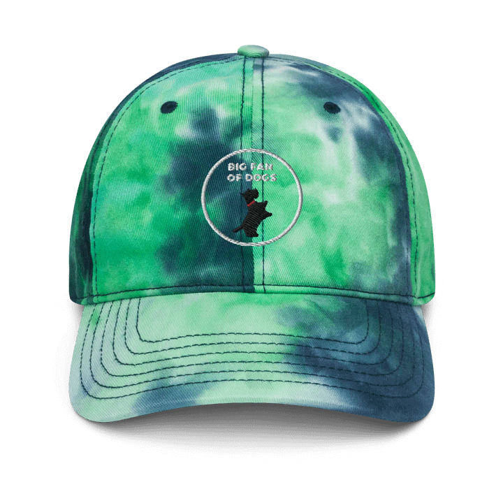 big fan of dogs (hat) product image (1)