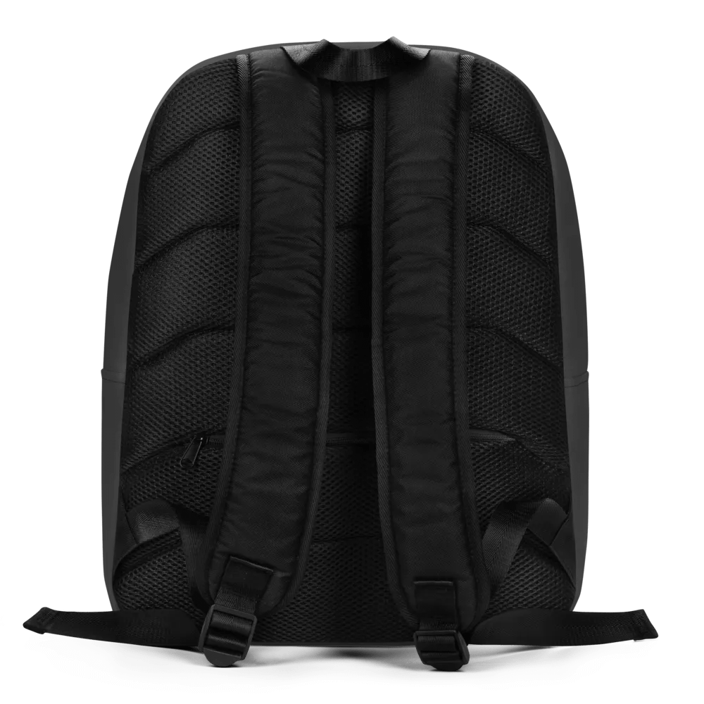 d2h Logo Backpack product image (5)