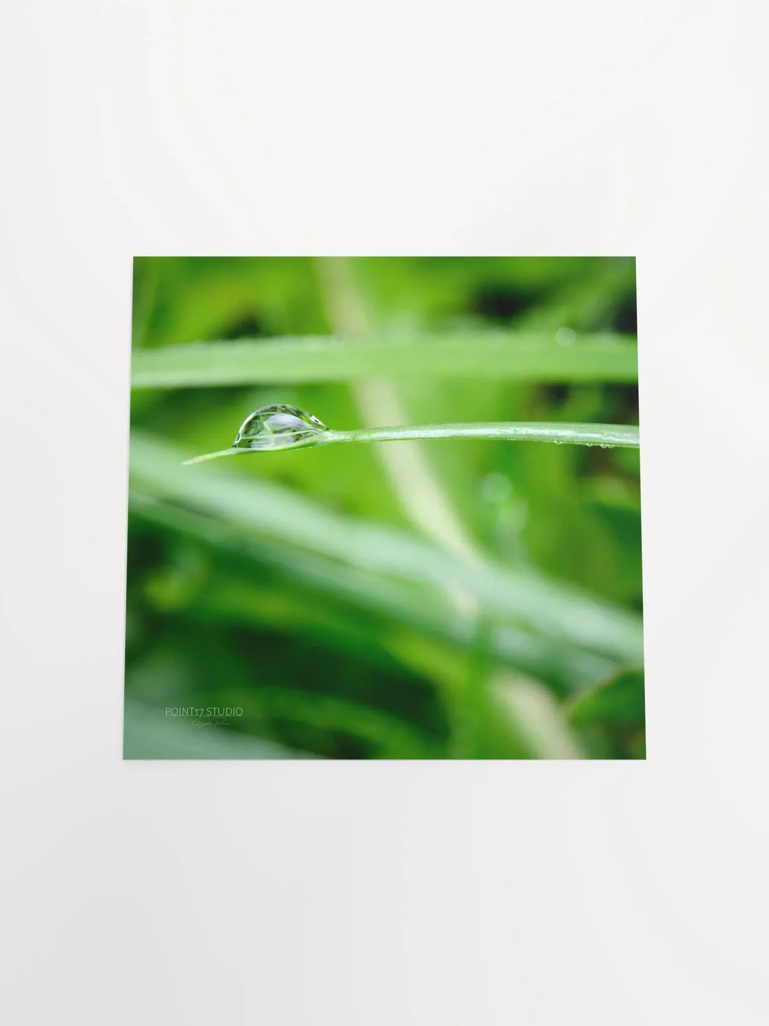 Dew Gems #10 - Print product image (11)