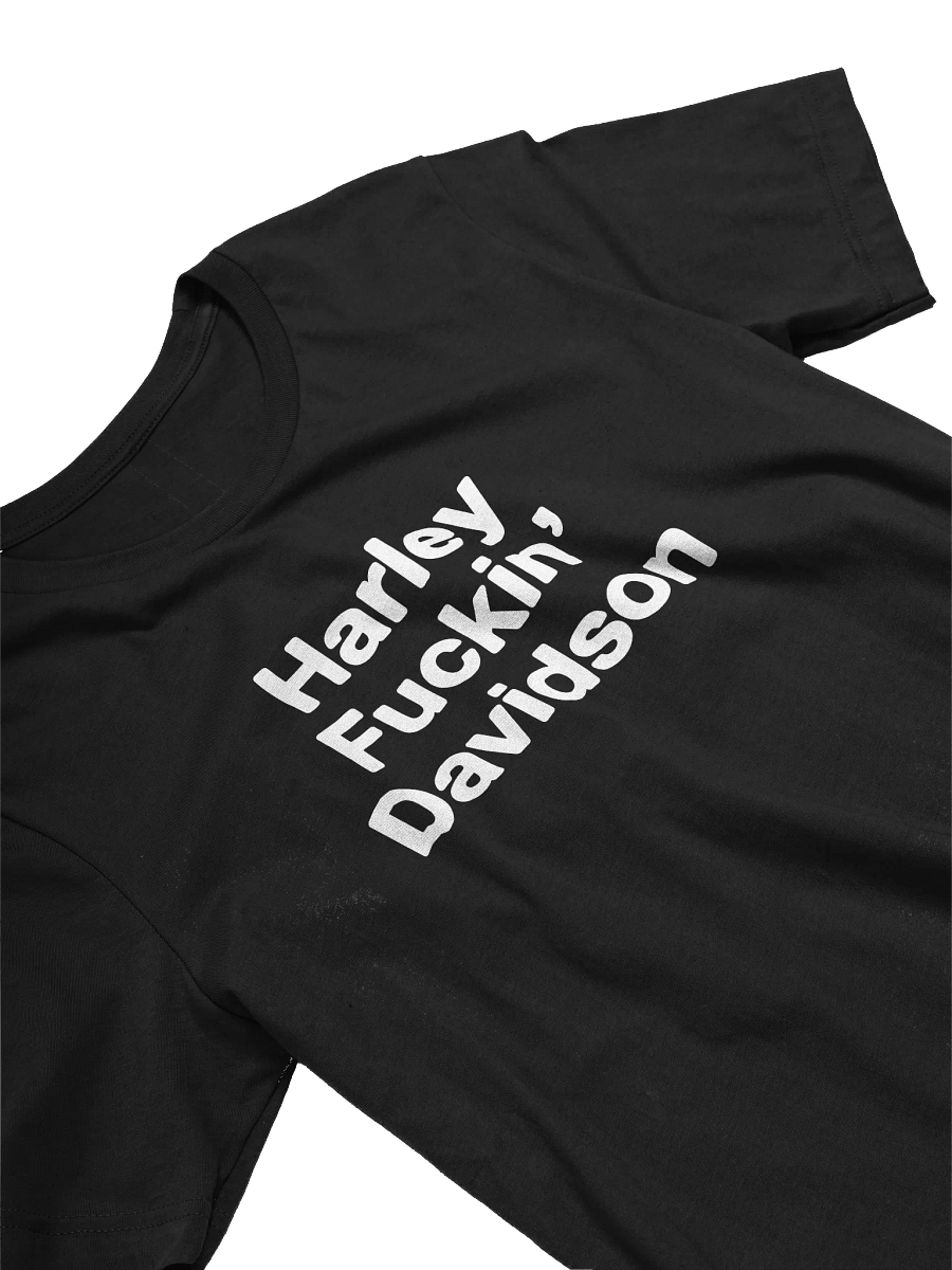HARLEY FUCKIN' DAVIDSON TEE product image (1)