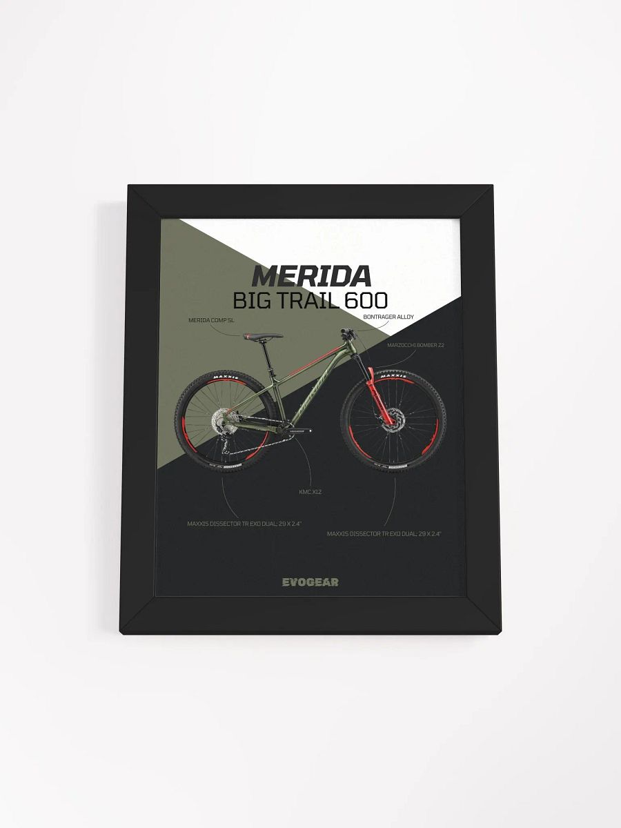Merida Big Trail 600 Frame product image (2)