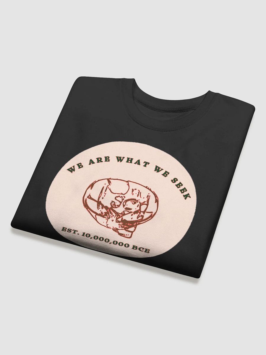 Ancient Wisdom Sweatshirt product image (4)