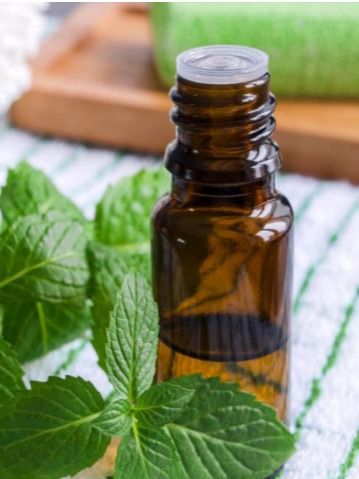 زيت النعناع العطري product image (1)