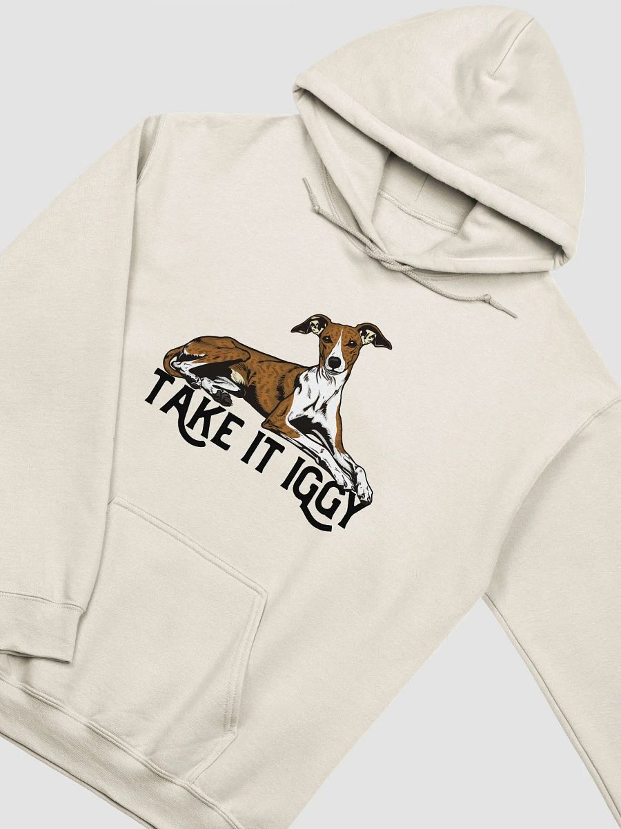 Take It Iggy Hooded Sweatshirt of an Italian Greyhound(Brindle) | Funny Hoodie for Iggy Paw-rents product image (22)