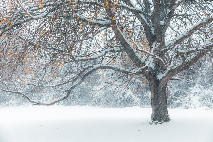 EarlyWinter product image (1)