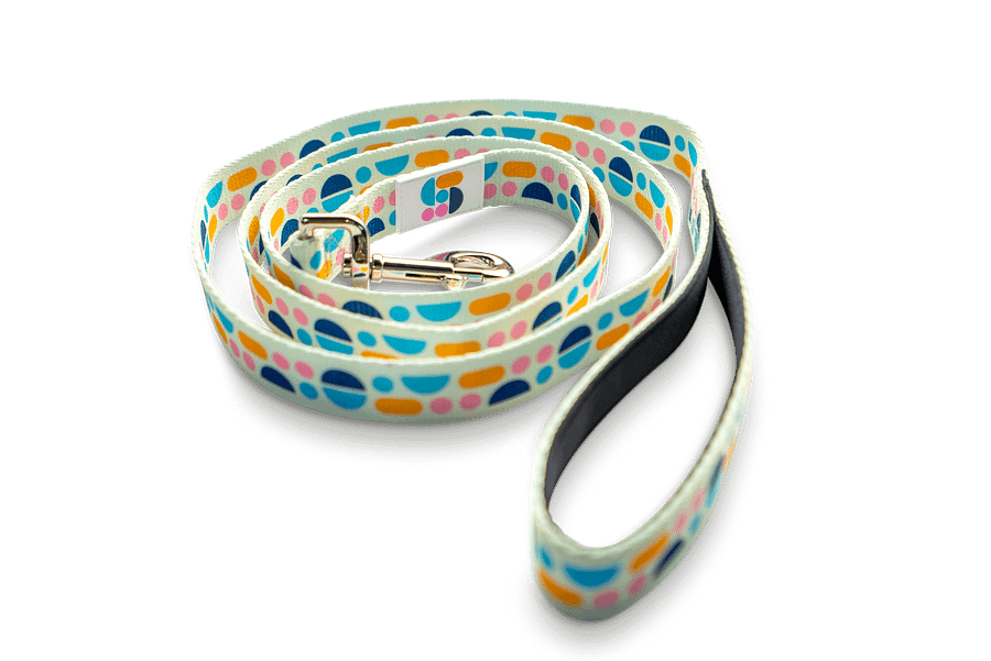 Dog Leash product image (4)