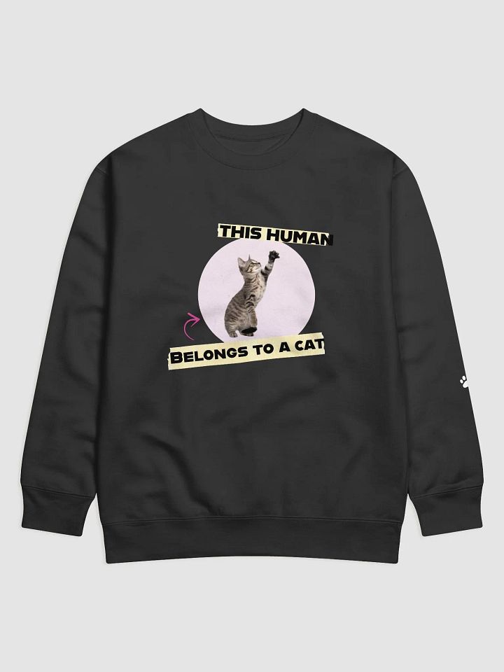 Playful Pet Owner Sweatshirt product image (1)