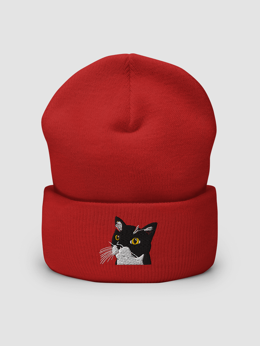 Handsome Felix Embroidered Beanie product image (2)