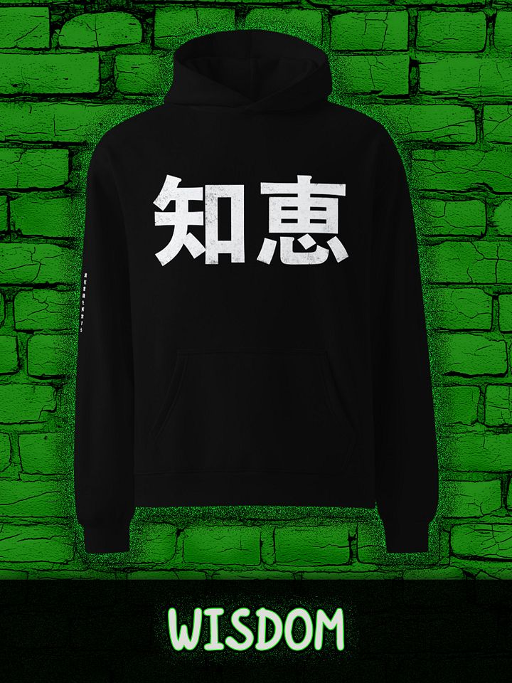 WISDOM Unisex Premium Oversized Hoodie product image (2)