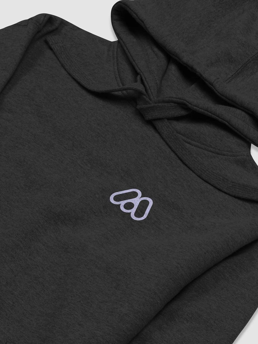 MANIFOLD LABS HOODIE - SN4 product image (3)