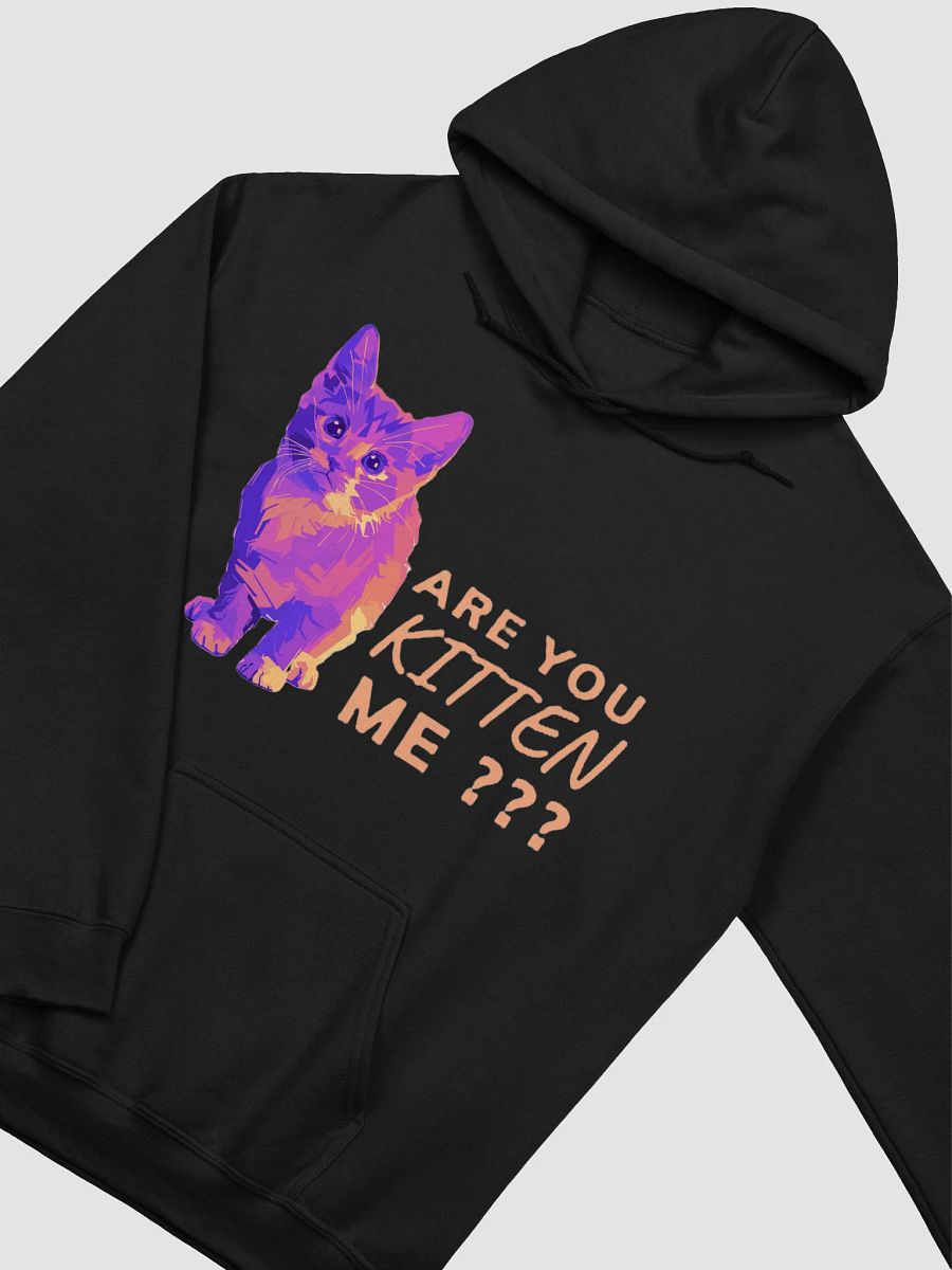 ARE YOU KITTEN ME??? product image (34)