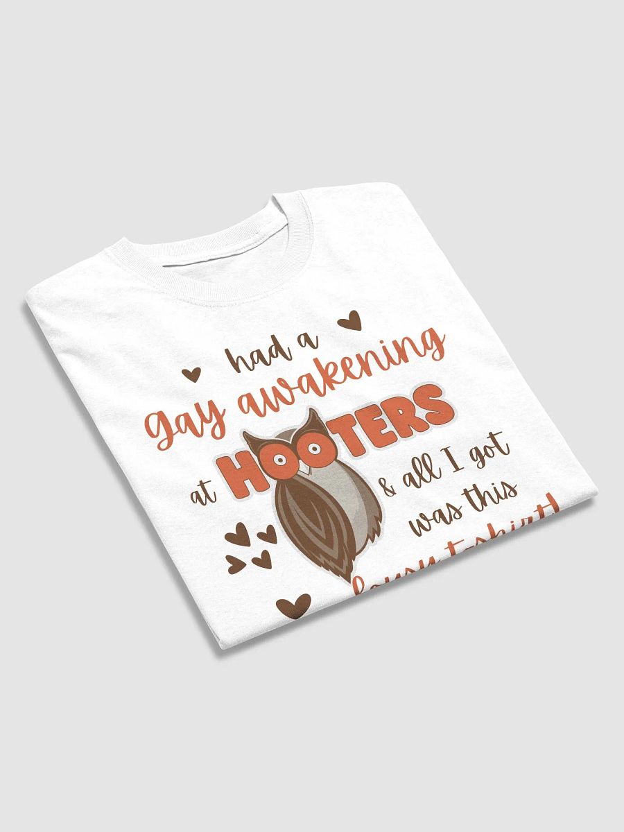 Had a Gay Awakening at Hooters product image (4)