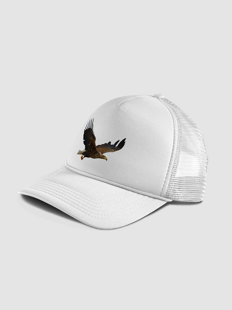 Soar Above the Rest: Valucap VC700 Foam Trucker Hat with Soaring Eagle Design product image (36)