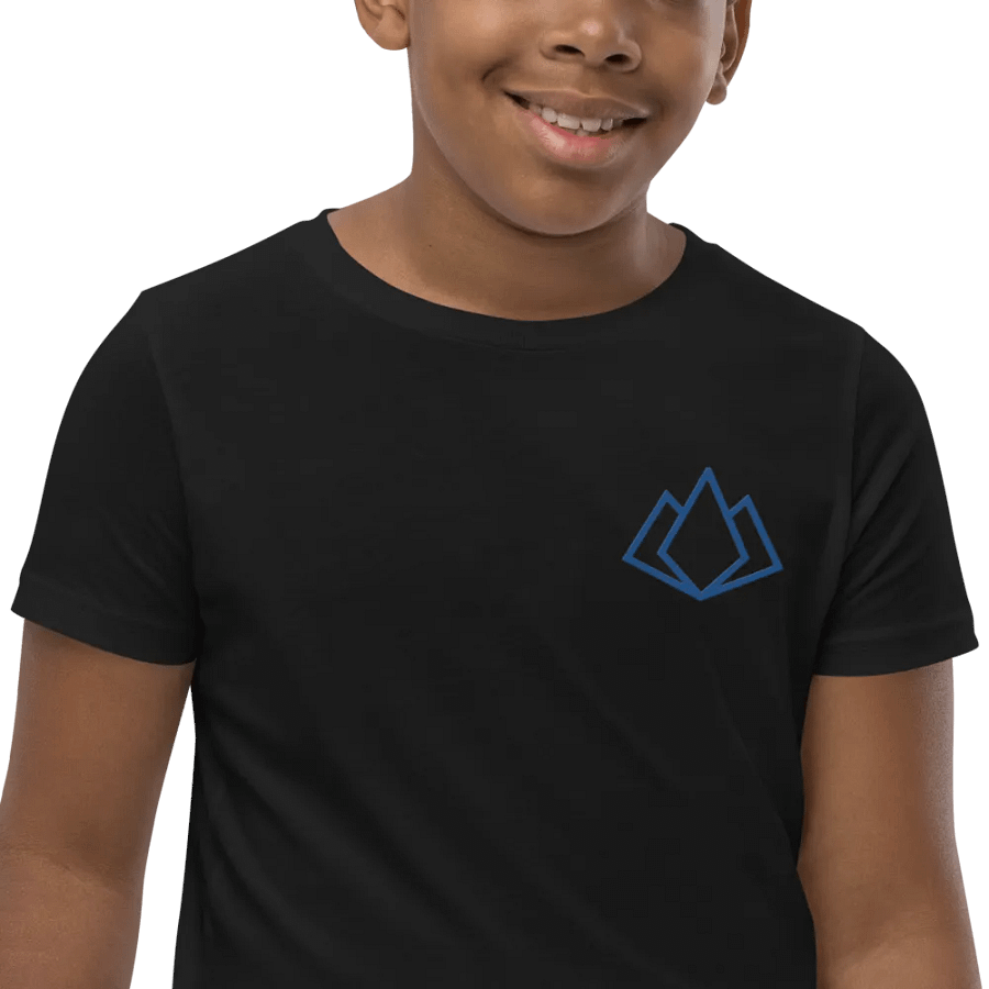 Youth Tee - Embroidered product image (9)
