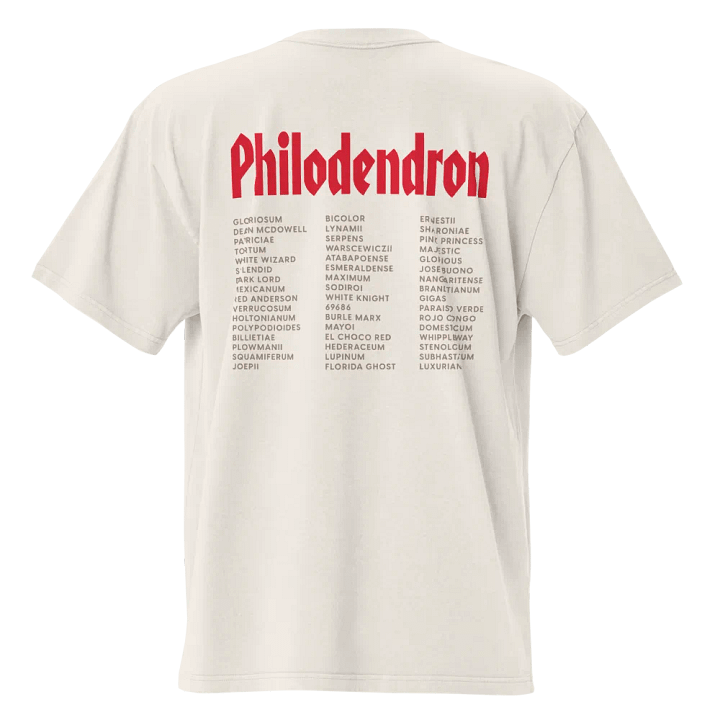 ⚡️ PHILODENDRON WORLD TOUR ⚡️ oversized tee product image (2)
