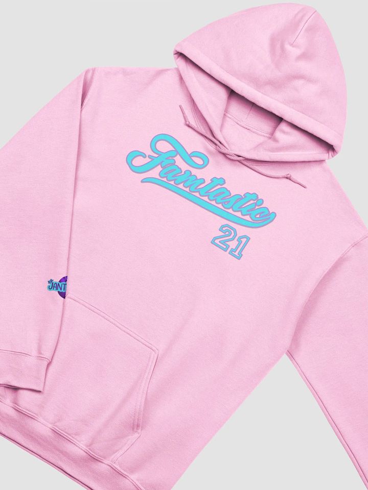 Famtastic Team Hoodie product image (1)