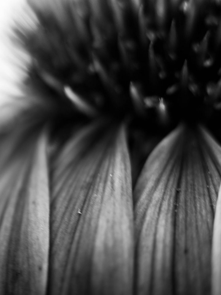 BlackEye product image (1)