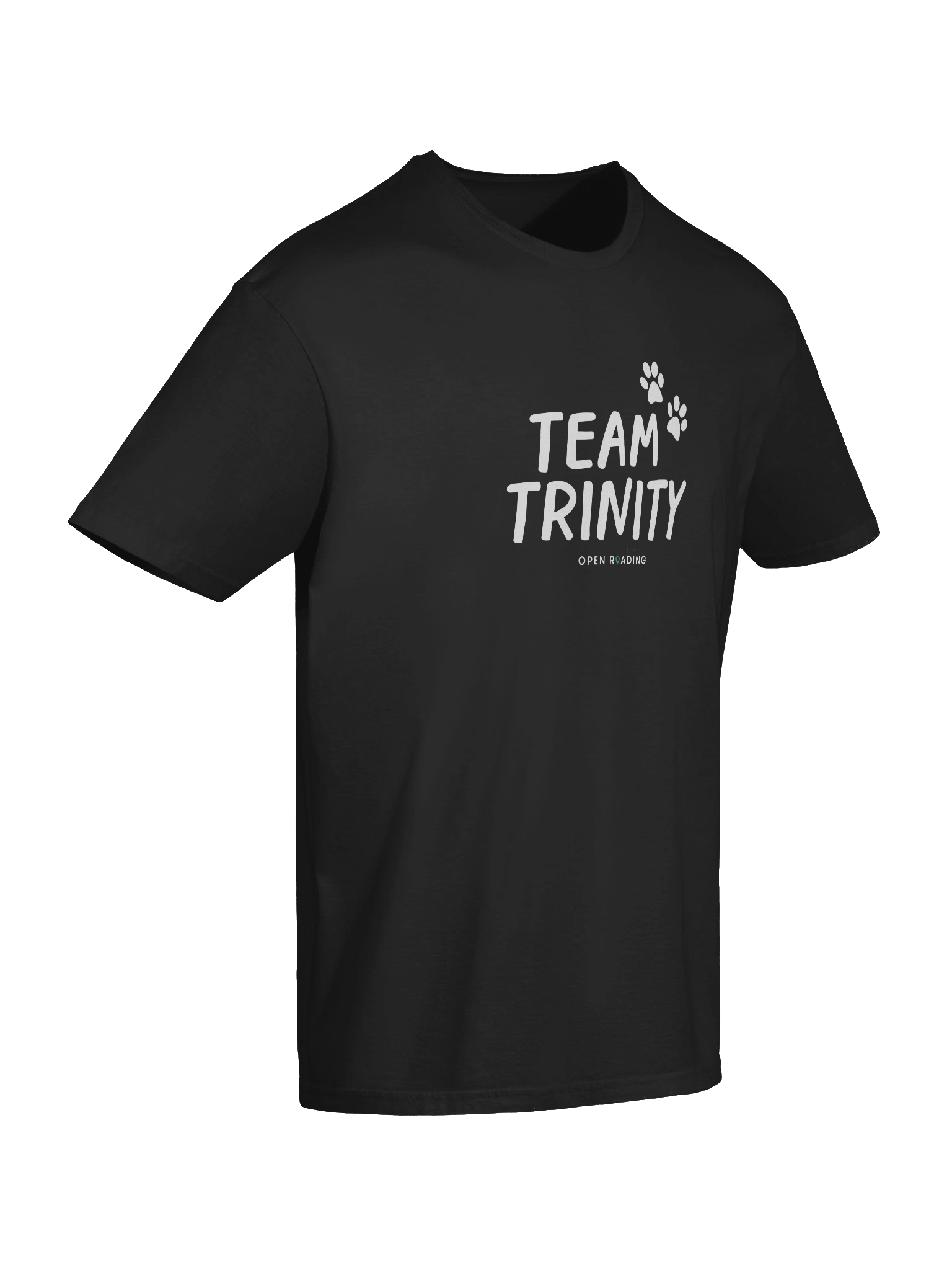 Team Trinity Adult-Sized Tee product image (10)