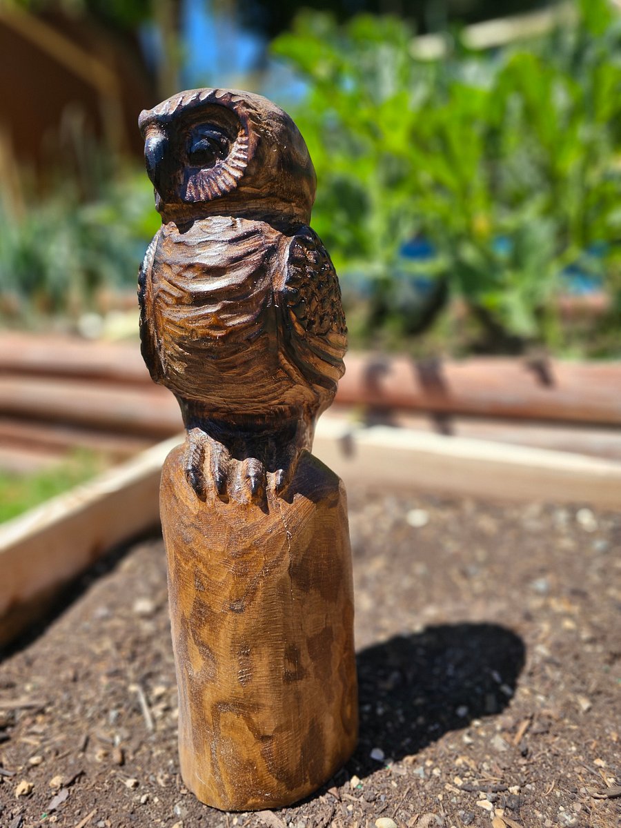 Sleepy Owl Wood Carving product image (2)