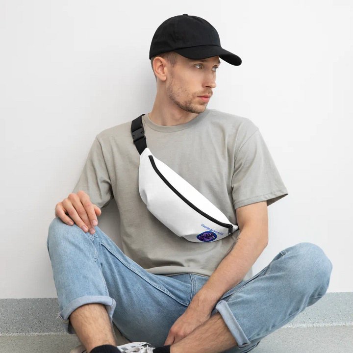 Fanny/Bum Pack product image (2)