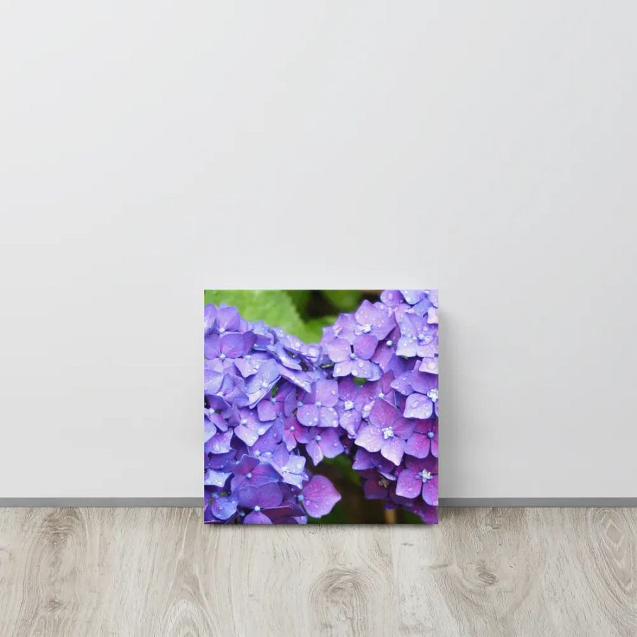 Hydrangeas product image (12)