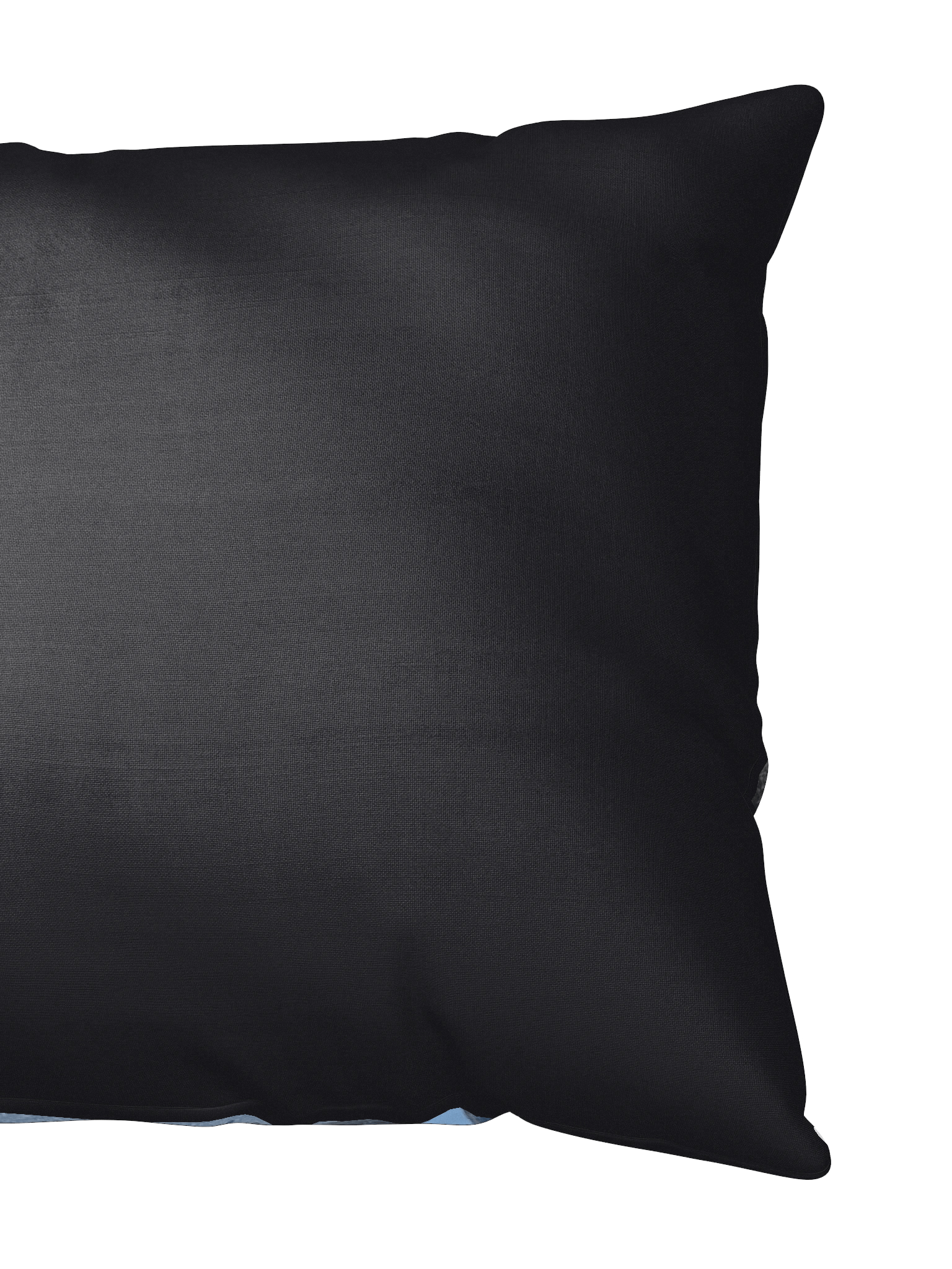 Perna product image (4)