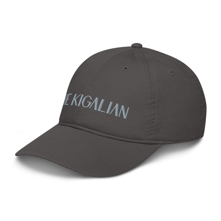 Econscious Organic Dad Hat product image (4)