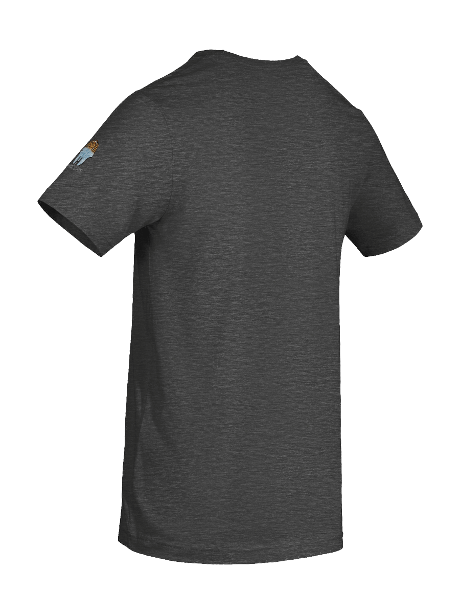Oklahoma Revenge Tour - Texas product image (19)