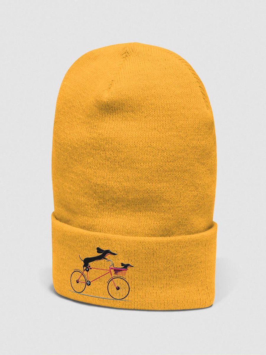 Weinner's bike ride product image (7)