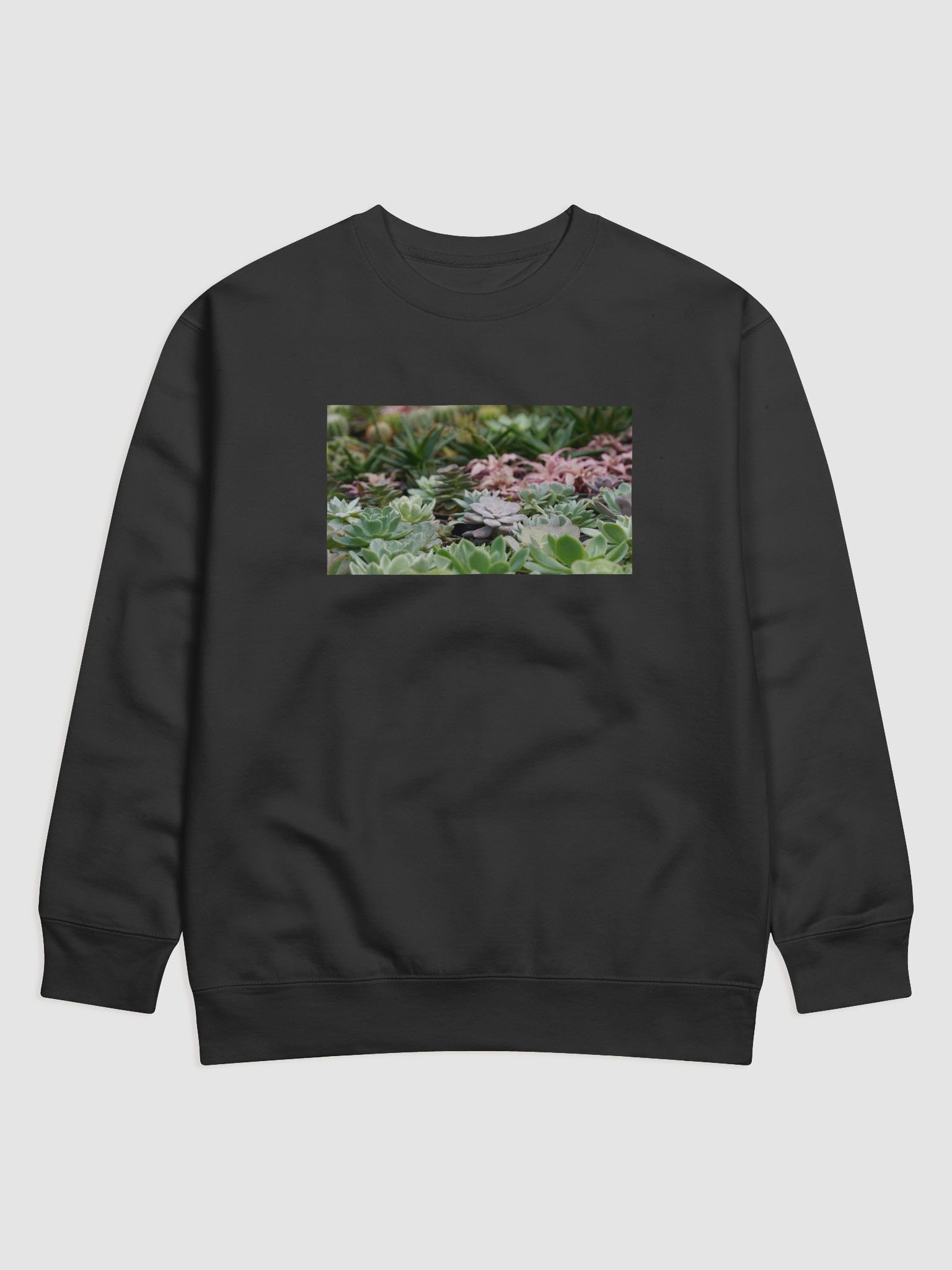 Succulent Serenity Premium Sweatshirt product image (1)